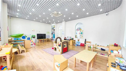 聚焦0-3歲嬰幼兒照護服務，共筑科學育兒新生態(tài)——上海研討會圓滿召開